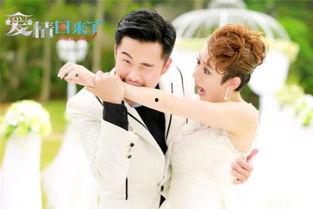 爱情回来了的背景音乐,揭秘爱情回来了背景音乐背后的故事