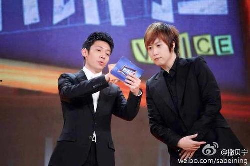 撒贝宁娱乐节目