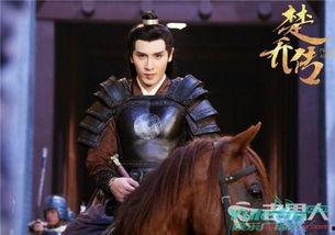 楚乔传魏舒游扮演者个人资料介绍,深情腹黑，演绎复杂角色魅力