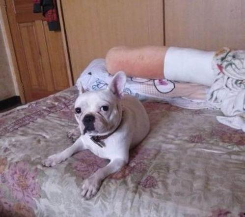 狗娃闹春演员现状