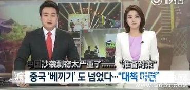 娱乐节目抄袭,揭秘行业乱象背后的真相